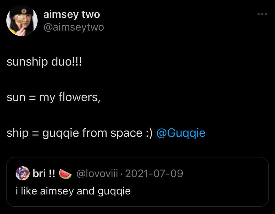 a tweet from bri lovoviii saying “i like aimsey and guqqie” quote tweeted by aimsey where they add “sunship duo!!! sun = my flowers ship = guqqie from space :)”